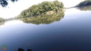 Ловля карпа. Как поймать карпа. Рыбалка на карпа 2021.