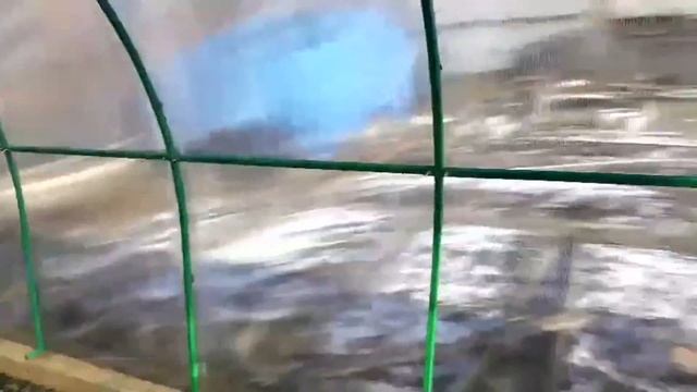 Сборка теплицы арочной усиленной, 3х6 метров. 23.10.16. смотреть онлайн