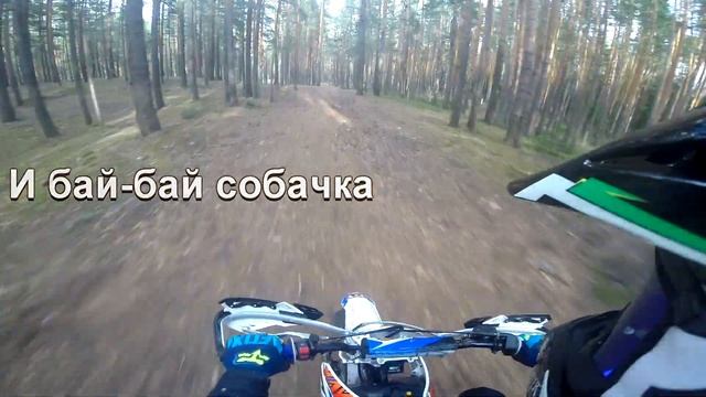 ПИТБАЙК VS СОБАКА смотреть онлайн