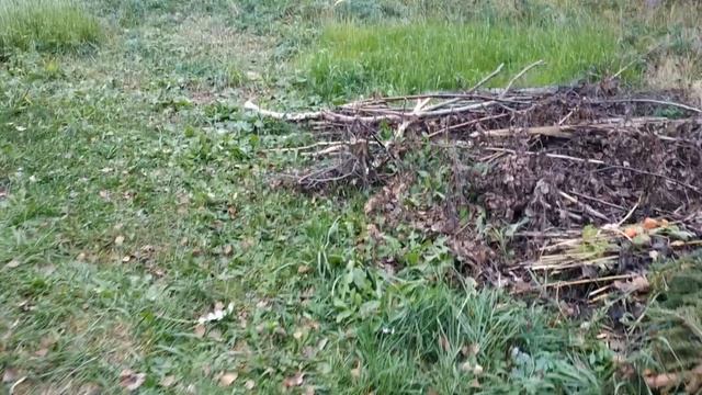 Многовато яблок на даче смотреть онлайн