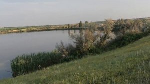 Ловля толстолоба на резинку