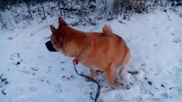 Моя любимая девочка да еще и умница 😗😗😗😗 смотреть онлайн
