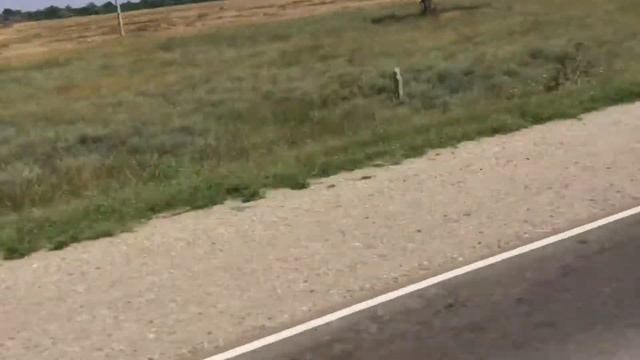 дима казел смотреть онлайн
