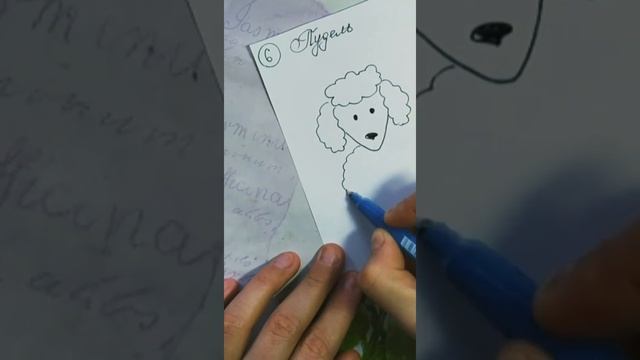 Как нарисовать собаку пудель #Shorts смотреть онлайн