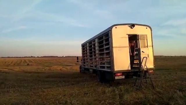 Молодые 240 км 12.08.2018 смотреть онлайн