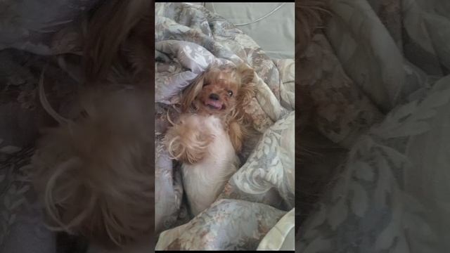 Ника проснулась