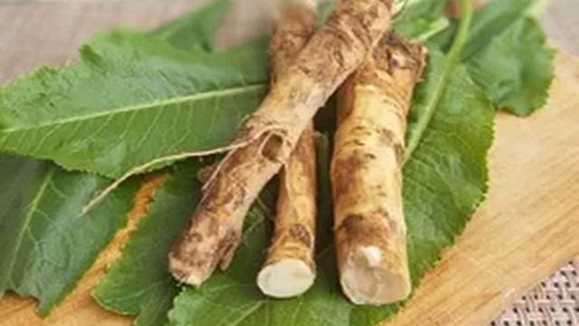 Поваренная книга с Лерой