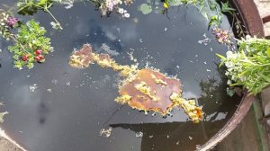 Чистка от возврата бумерангов и от врагов.