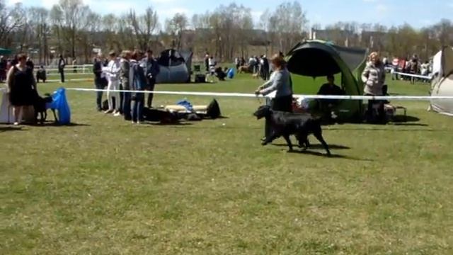 MOV08813 ВЫставка в Добре място.01.05.2013 .Польша смотреть онлайн