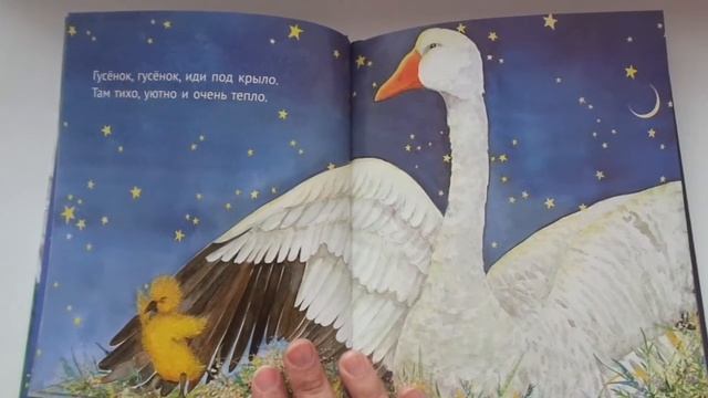 Книга Мем Фокс "Пора спать" смотреть онлайн