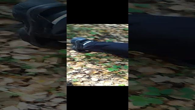 ищу гоыбы смотреть онлайн