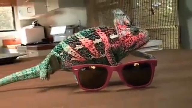 Мимикрия. Часть 3 смотреть онлайн