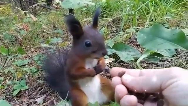 Когда впервые увидел прасад смотреть онлайн