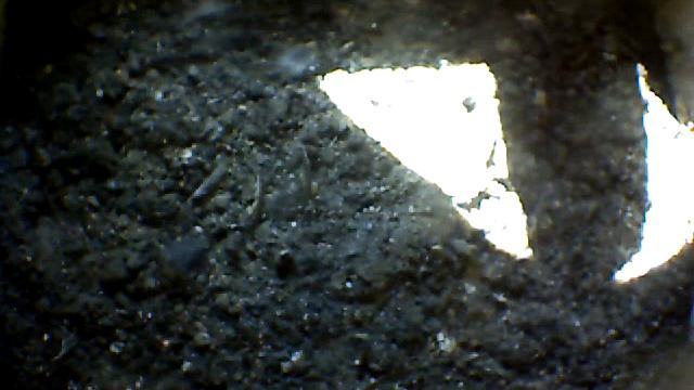 From Internet Camera(Turmfalken[03:1A:A5])2014/07/15,17:35:19_D смотреть онлайн