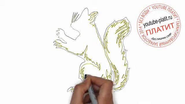 Как поэтапно нарисовать желтую белку оборотня за 36 секунд смотреть онлайн