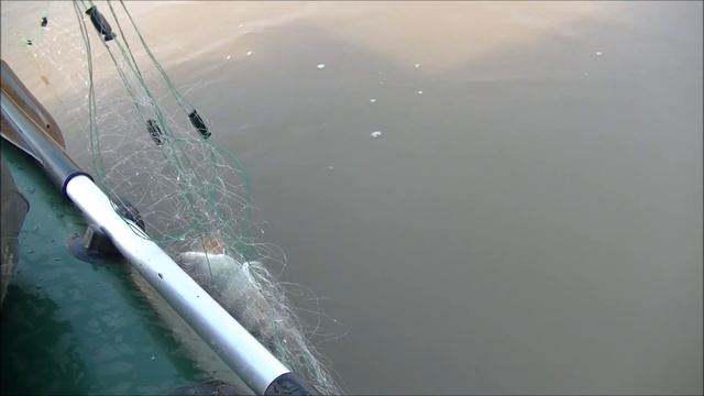 Рыбалка сетями на линя, щуку, карася, окуня ))). Зарыбляем водоем. смотреть онлайн