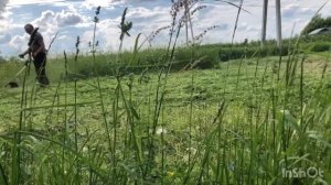 Леска или диск. Чем лучше косить высокую траву. Косим леской, только щепки летят.