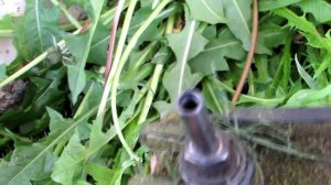 Катушка триммера не откручивается. Что делать? Полезный совет.