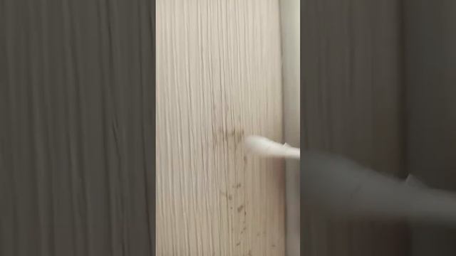 Стройка Дома