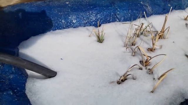 Пруд  своими руками из бетона с биоплато, работа перелива.