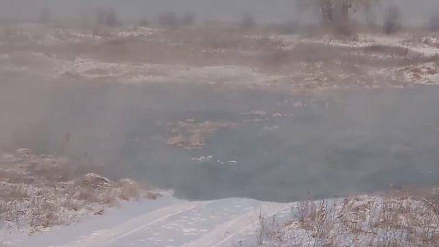 VID 20210106 123348 смотреть онлайн