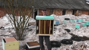 Выставка пчёл,ревизия, замена дна одновременно. 3 в 1.