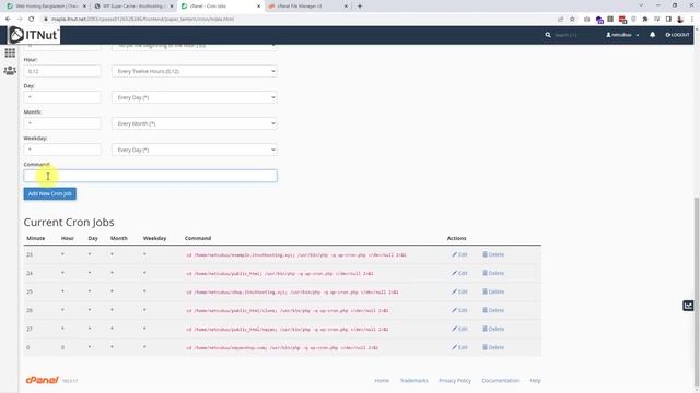 WordPress Cron Job System Disabled Error Solve - IT Nut смотреть онлайн