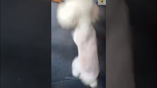 НЕУДАЧИ смотреть онлайн