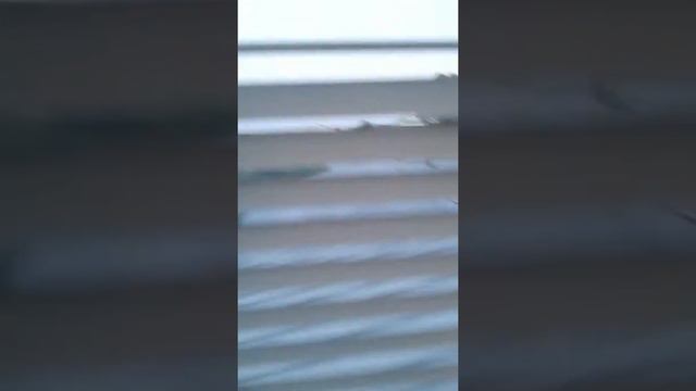 Я нечпрю время 4 чеса утра. Расвет ( 1 часть) смотреть онлайн