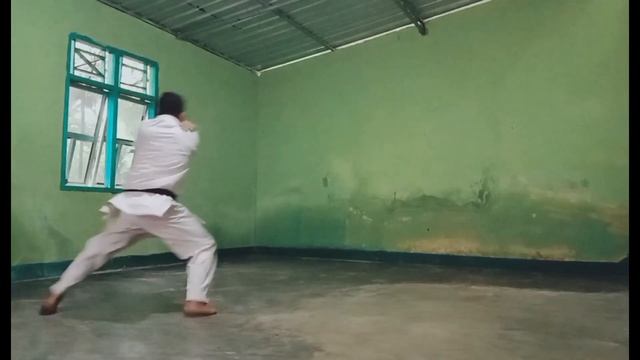 KARATE KATA 1 (HEIAN SHODAN) смотреть онлайн