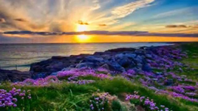 Relaxing Flute Music, Calming Music, Music for Studying, Flute Music, Zen, Study Music, Sleep, ☯369 смотреть онлайн