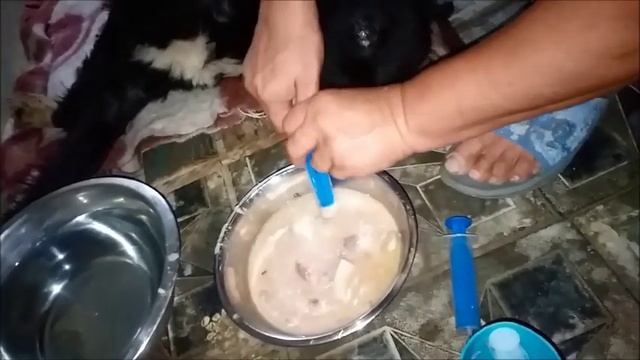 Куриный бульон для Черныша и всех собачек  У Нюши никогда не было того, что есть сейчас