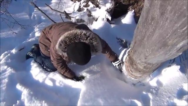 Канадский тупик. Часть 95. Ямщик, не гони! смотреть онлайн