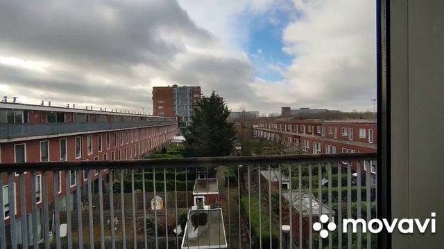 Рецепт ризотто с креветками. Закупка продуктов на неделю. смотреть онлайн