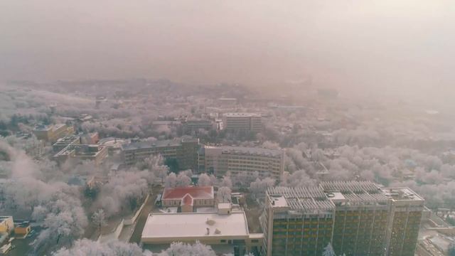 Песня Дианы Арбениной "Грустные люди" в исполнении Валентины Ястремской смотреть онлайн