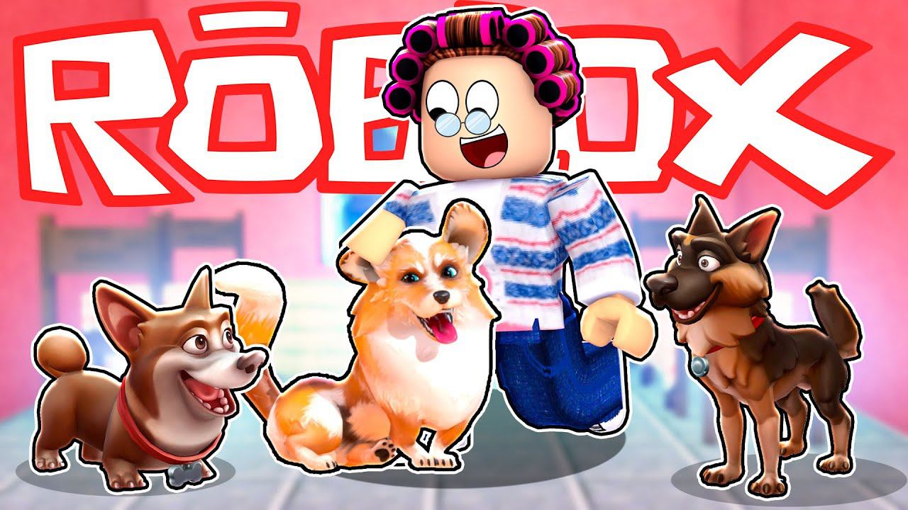 ЭТА БАБУЛЯ ПРИЮТИЛА ВСЕХ СОБАК! смотреть онлайн