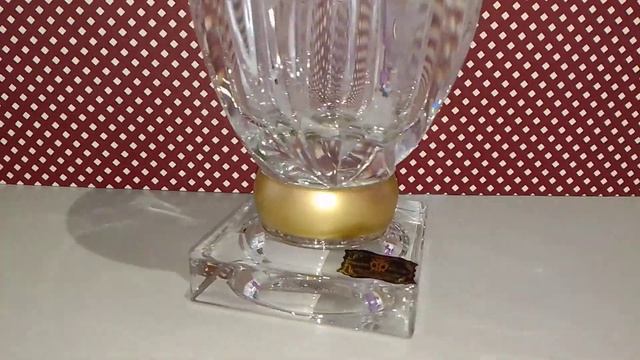 Ваза для цветов 35 см н/н AS Crystal Bohemia "Flame /Матовая полоса" AS Crystal / 171487 смотреть онлайн