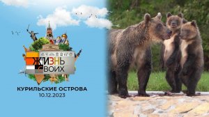 Курильские острова. Жизнь своих. Выпуск от 10.12.2023