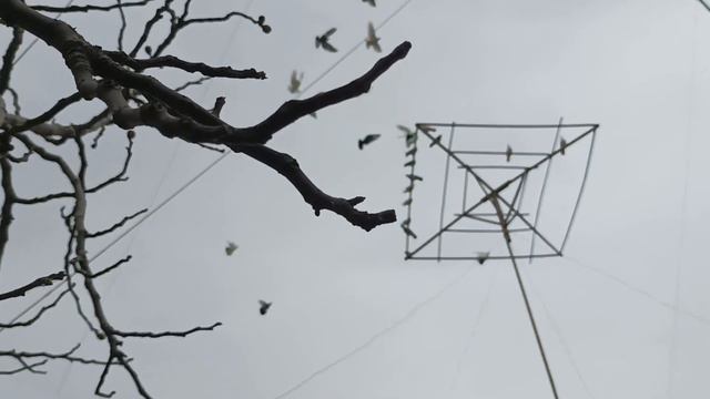 7 апреля 2023 г. смотреть онлайн