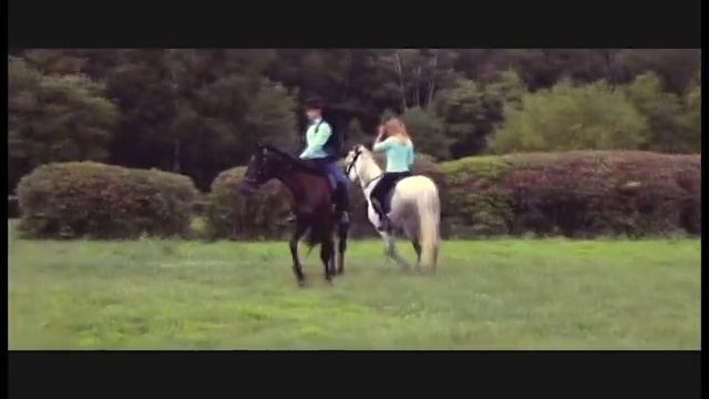 Love Story смотреть онлайн