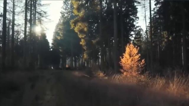 Строки о том, ради чего человеку стоит жить. смотреть онлайн