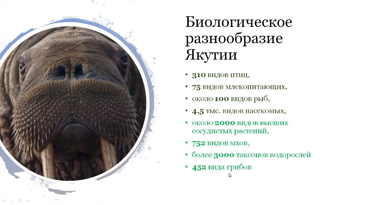 22 июня - Международный день биологического разнообразия смотреть онлайн