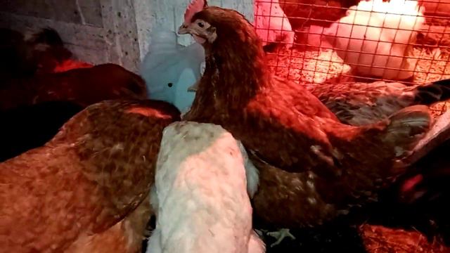 Ура есть один смотреть онлайн