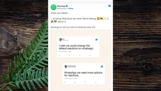 WhatsApp full emoji to reaction | how to react for WhatsApp message | WhatsApp New Update смотреть онлайн