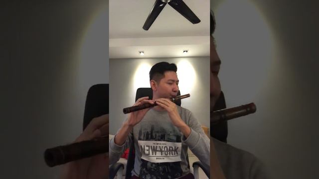 You raised me up bamboo flute cover смотреть онлайн