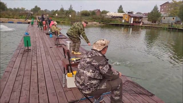 Активные поимки форели до запуска и после!!! Клевое Место д.Савельево смотреть онлайн