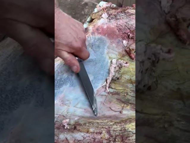 Отзыв о ноже!!! Тел.для заказа 89040498854 Viber,what’s,телеграмм смотреть онлайн