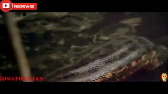 Boa vs Python vs Anaconda e o óculos com o me da... смотреть онлайн