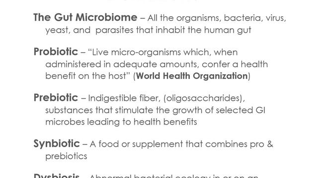 The Gut & Chronic Disease смотреть онлайн