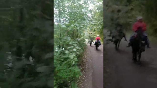 Анастасия Конетренер. Осень верховая. смотреть онлайн